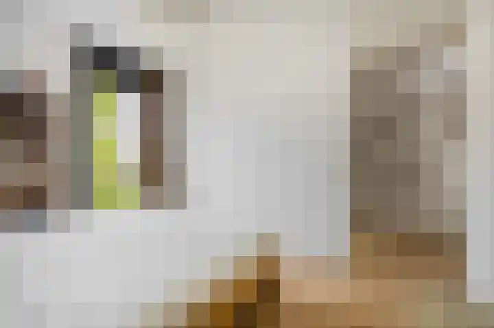 Jagershof 27 Etten-Leur thumbnail 21
