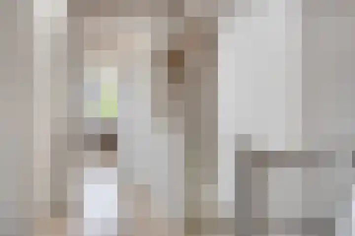 Jagershof 27 Etten-Leur thumbnail 27