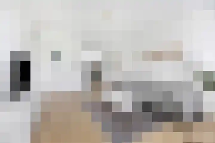 Jagershof 27 Etten-Leur thumbnail 7