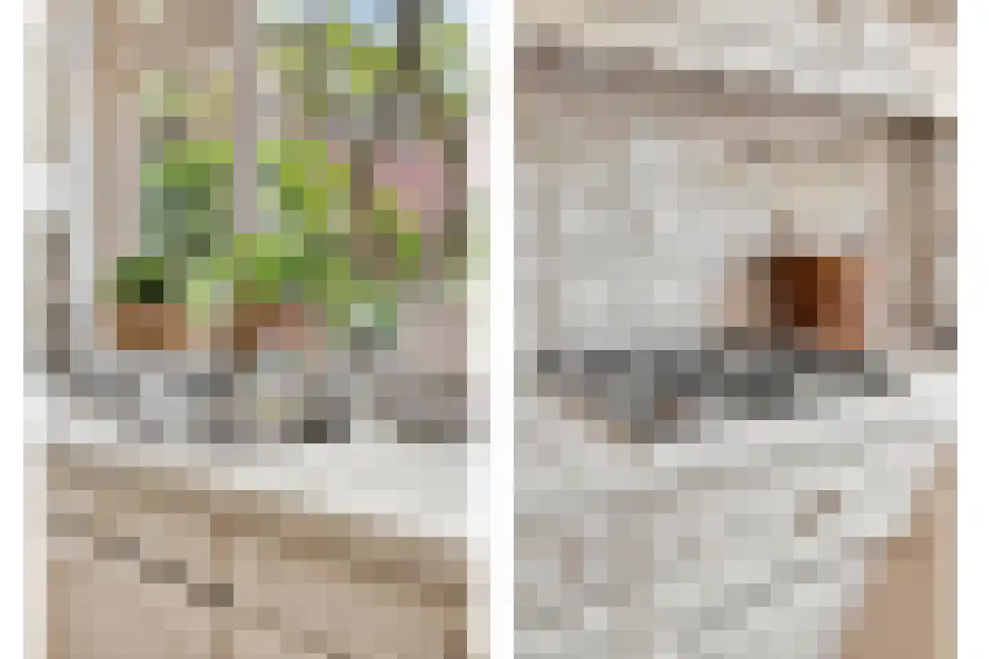 Jagershof 7 Oudheusden thumbnail 16