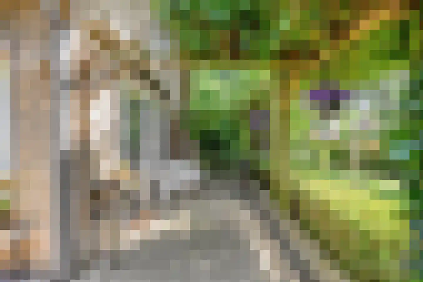 Jagershof 7 Oudheusden thumbnail 38