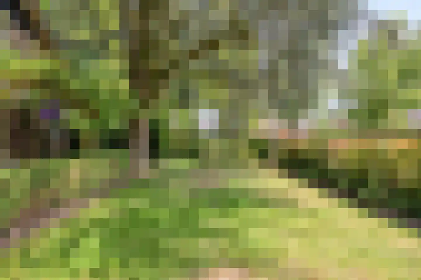 Jagershof 7 Oudheusden thumbnail 39