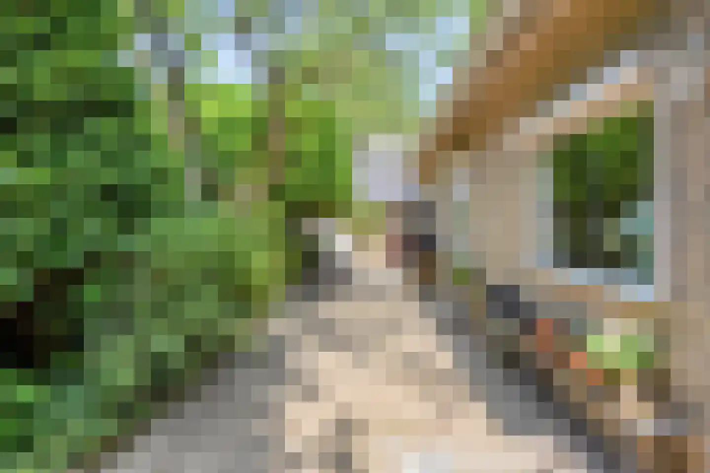 Jagershof 7 Oudheusden thumbnail 4