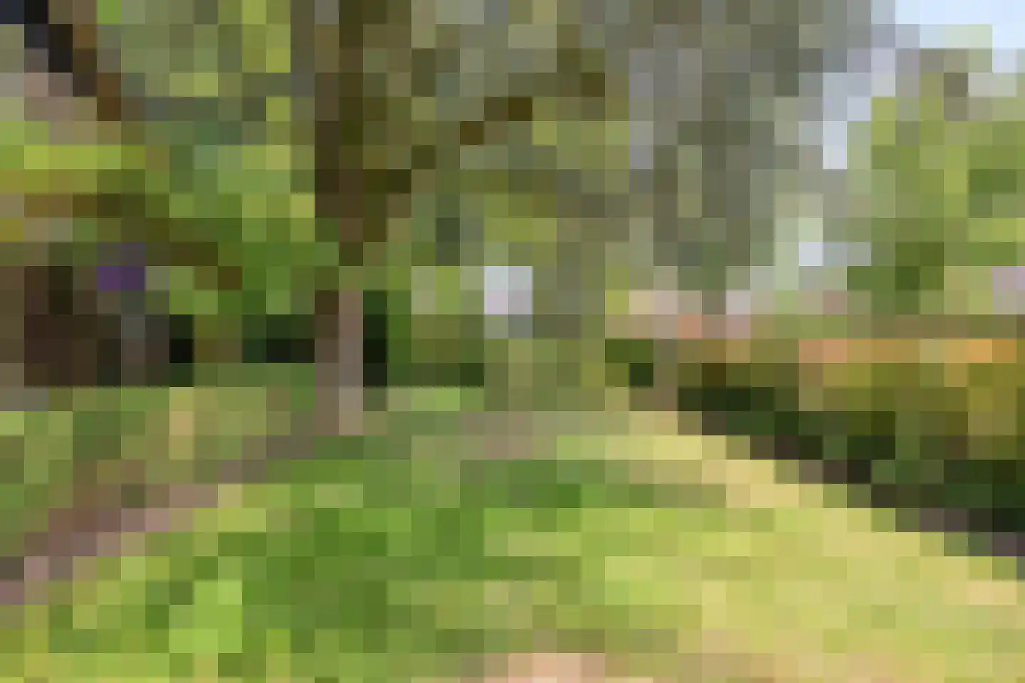 Jagershof 7 Oudheusden thumbnail 5