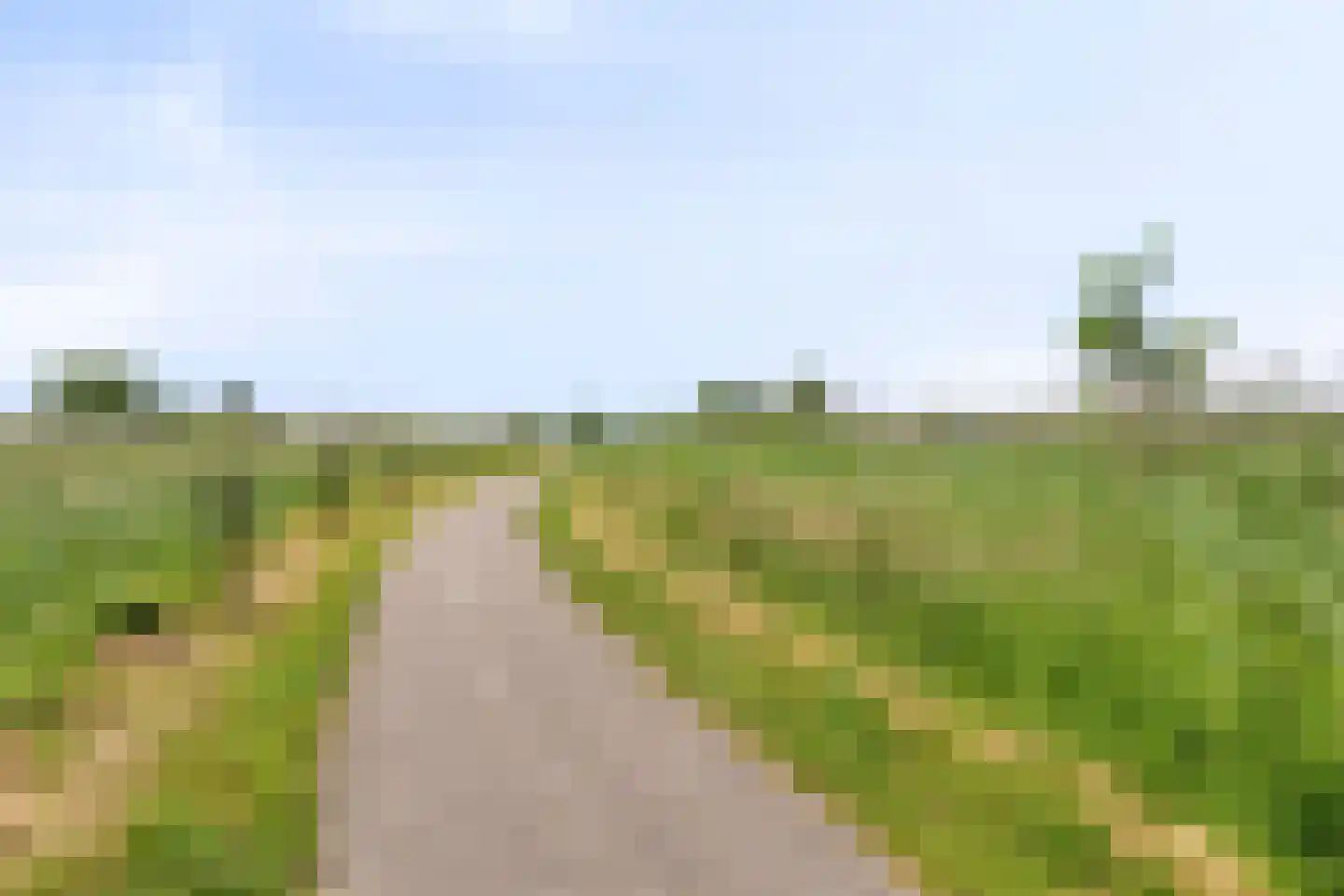 Jagershof 7 Oudheusden thumbnail 50