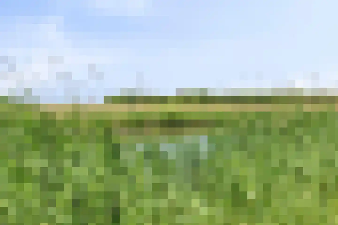 Jagershof 7 Oudheusden thumbnail 51