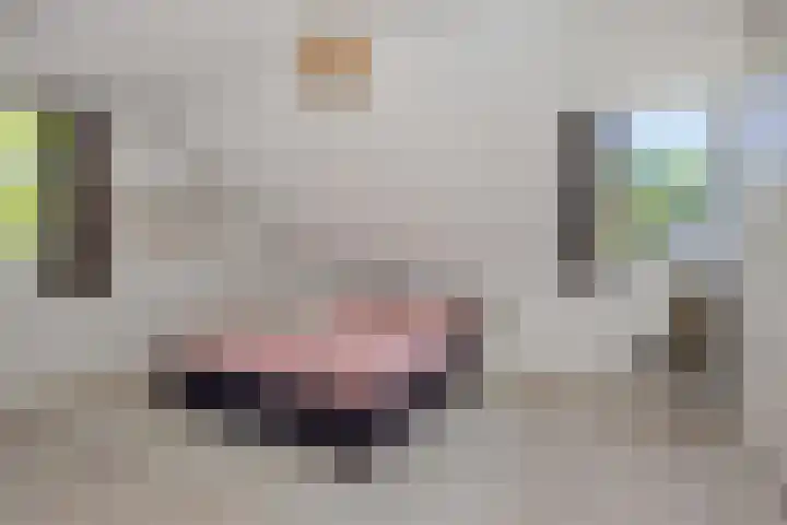 Jagersingel 34 Rosmalen thumbnail 26