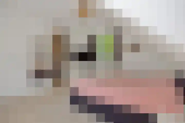 Jagersingel 34 Rosmalen thumbnail 27