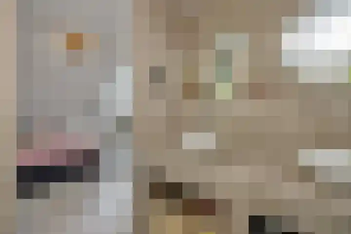 Jagersingel 34 Rosmalen thumbnail 29