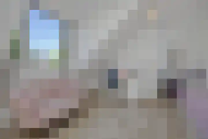 Jagersingel 34 Rosmalen thumbnail 32