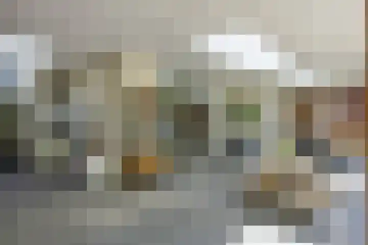 Jagersingel 34 Rosmalen thumbnail 39