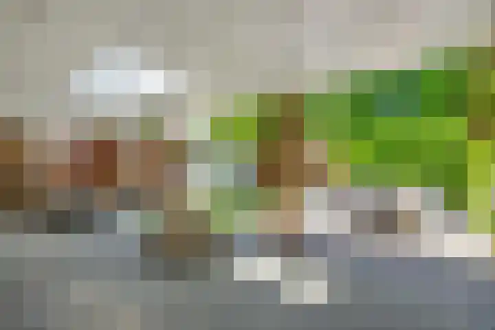 Jagersingel 34 Rosmalen thumbnail 40