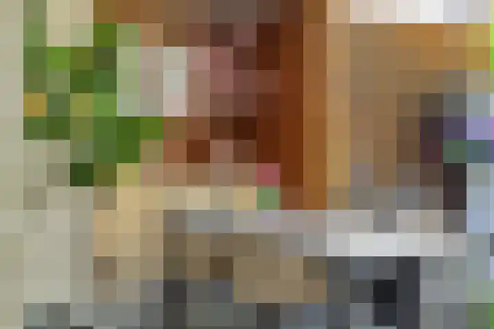 Jagersingel 34 Rosmalen thumbnail 42