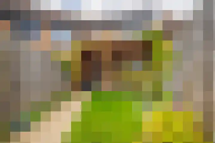 Jagerskamp 23 Westervoort thumbnail 23