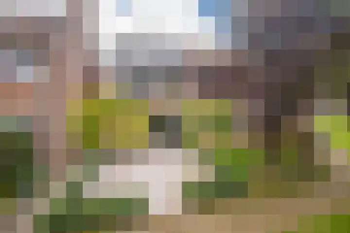 Jagerskamp 23 Westervoort thumbnail 5