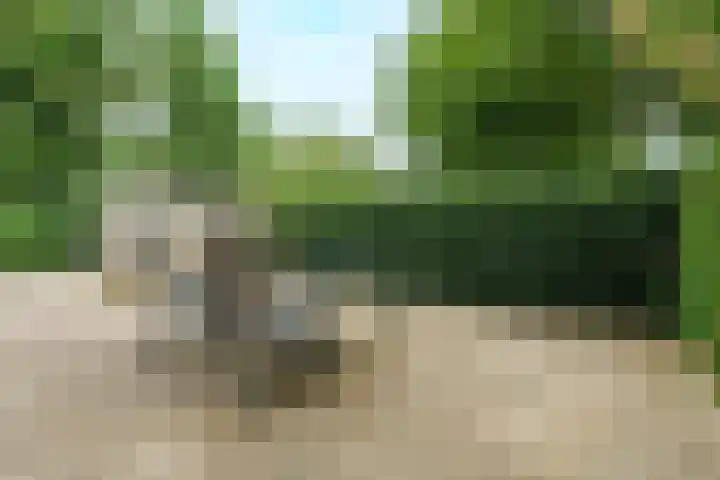 Jagerskamp 47 Wageningen thumbnail 30