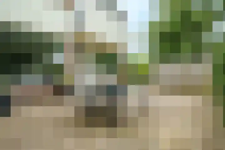 Jagerskamp 47 Wageningen thumbnail 31