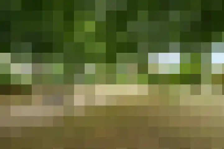 Jagerskamp 47 Wageningen thumbnail 37