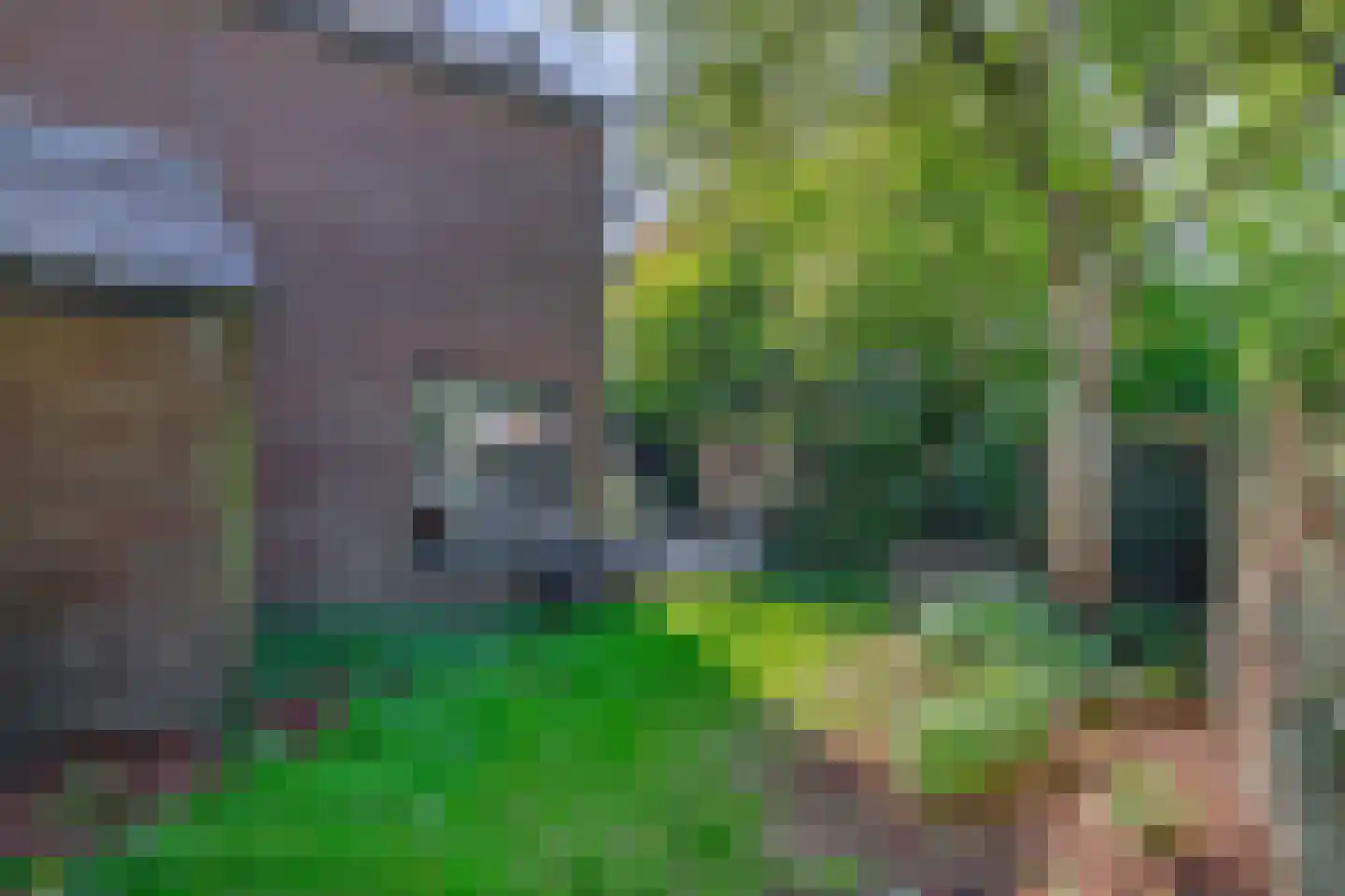 Jagerskamp 51 Wageningen thumbnail 39