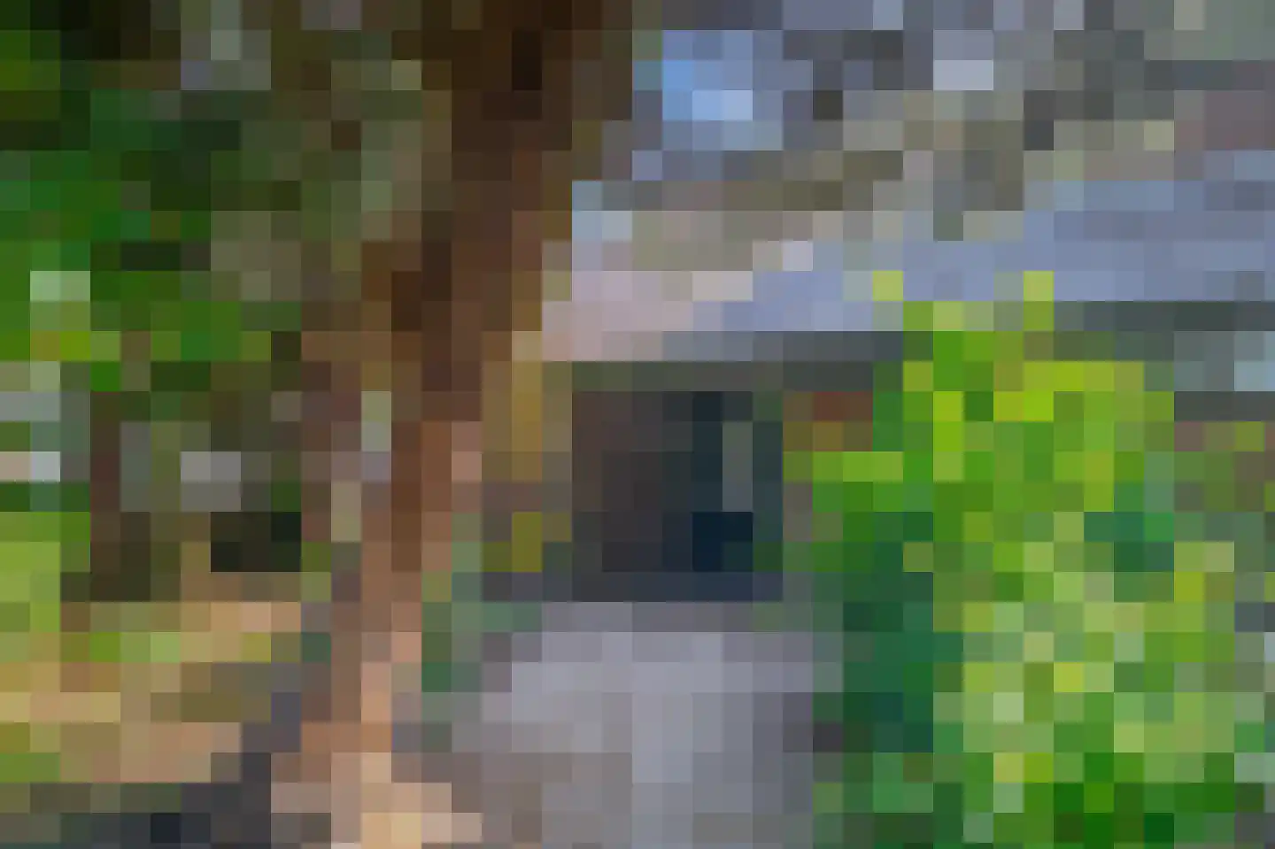 Jagerskamp 51 Wageningen thumbnail 4