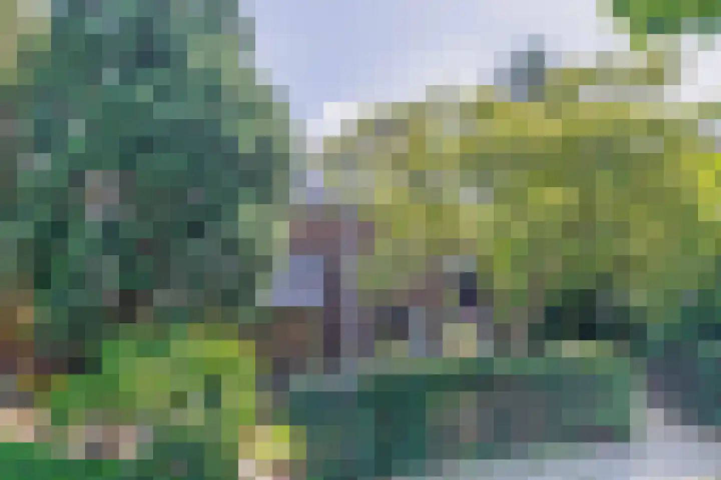 Jagerskamp 51 Wageningen thumbnail 41