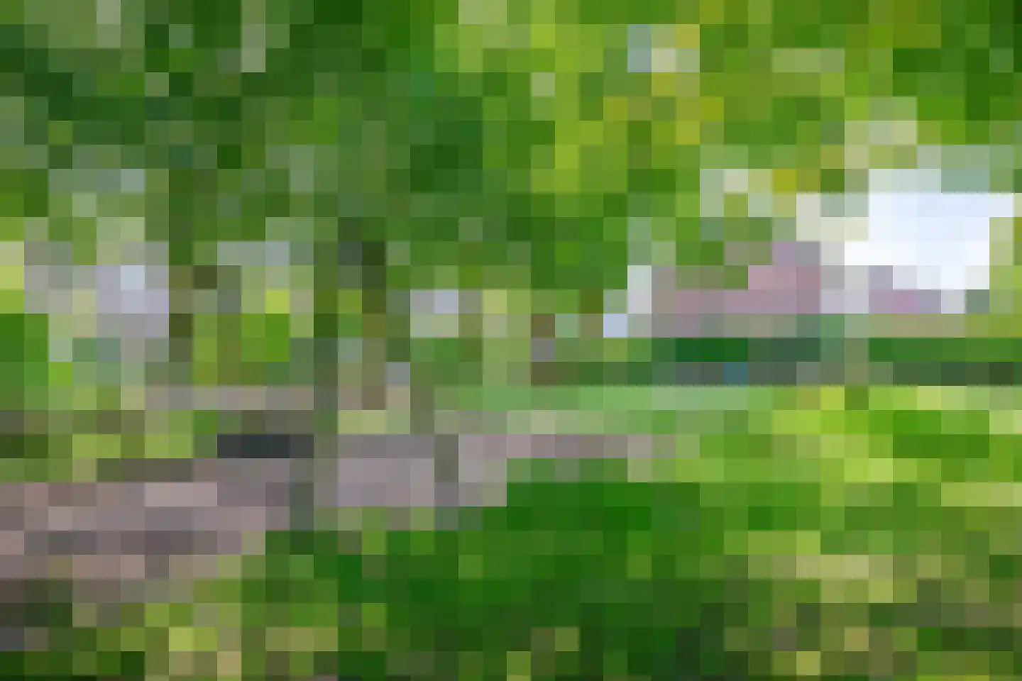 Jagerskamp 51 Wageningen thumbnail 42