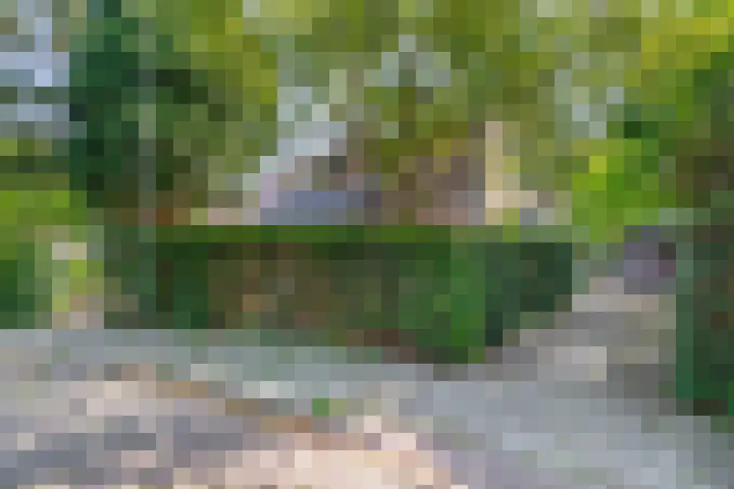 Jagerskamp 51 Wageningen thumbnail 5