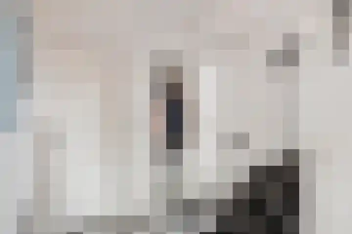 Jagerskamp 8 Oosterbeek thumbnail 4