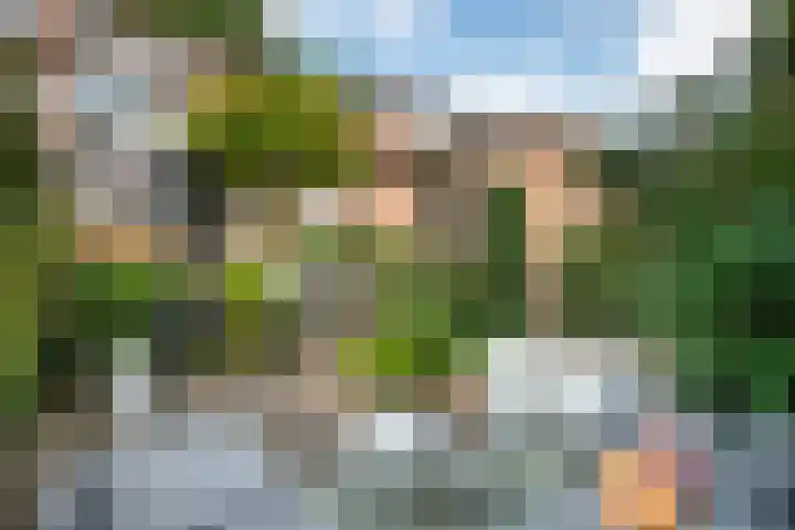 Jagerskamp 8 Oosterbeek thumbnail 41