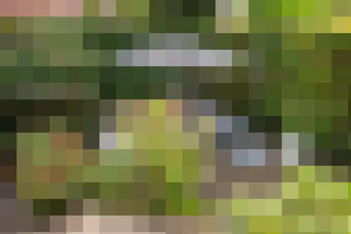 Jagerskamp 8 Oosterbeek thumbnail 43