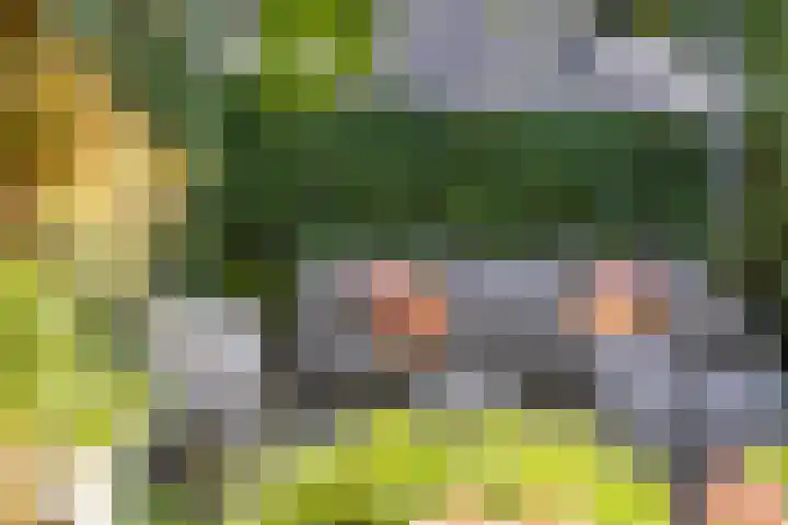 Jagerskamp 8 Oosterbeek thumbnail 44