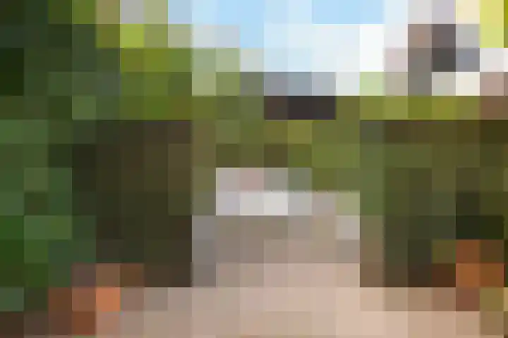 Jagerskamp 8 Oosterbeek thumbnail 46