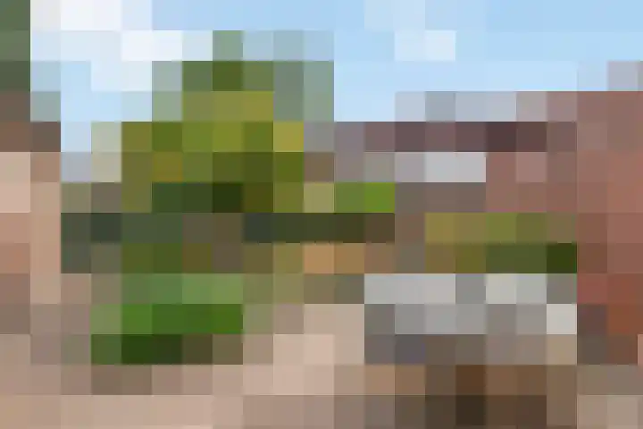 Jagerskamp 8 Oosterbeek thumbnail 48