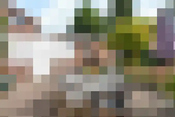 Jagerskamp 8 Oosterbeek thumbnail 50
