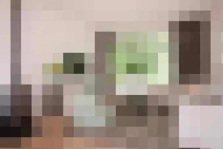 Jagerskamp 8 Oosterbeek thumbnail 7