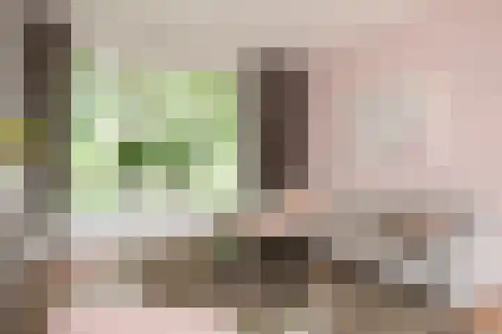 Jagerskamp 8 Oosterbeek thumbnail 8