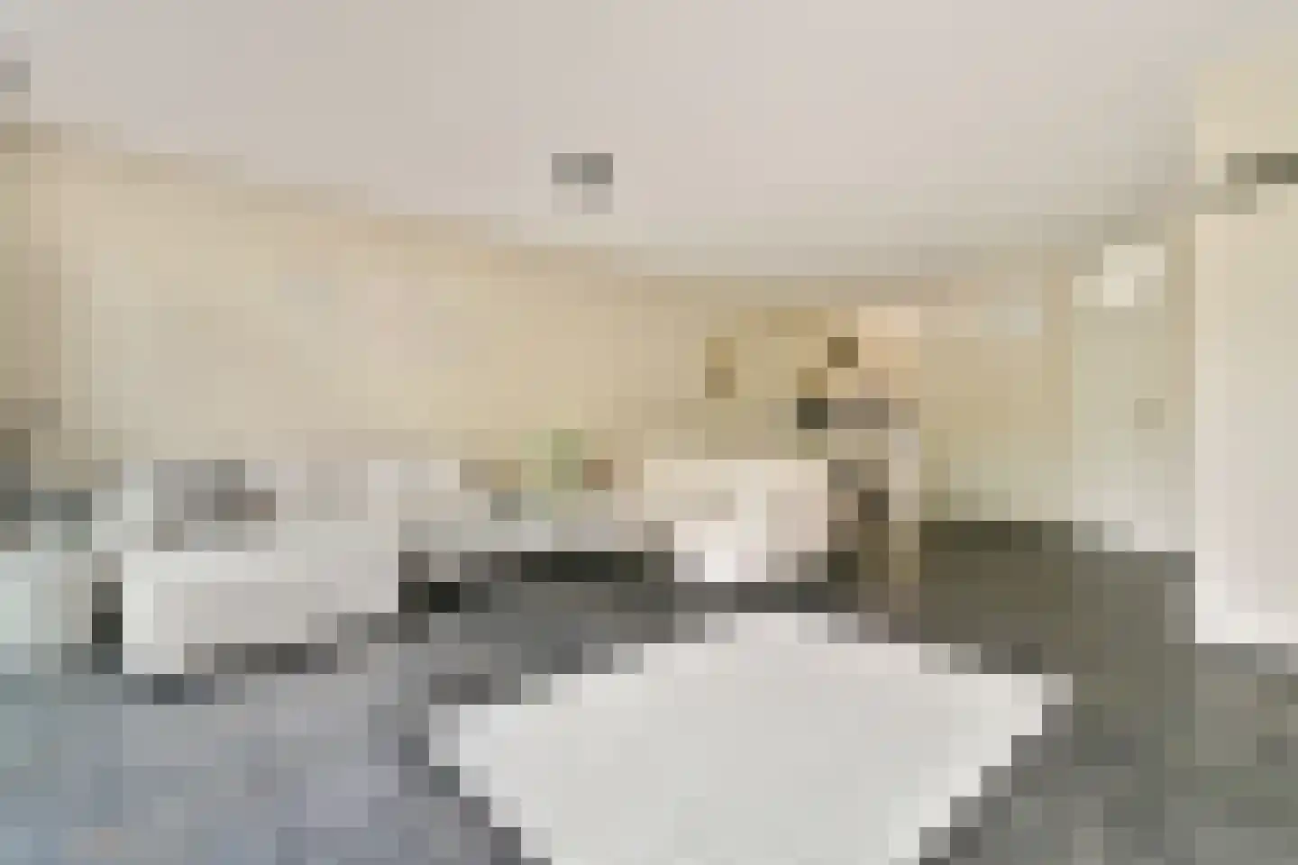 Jagerskreek 39 Spijkenisse thumbnail 10