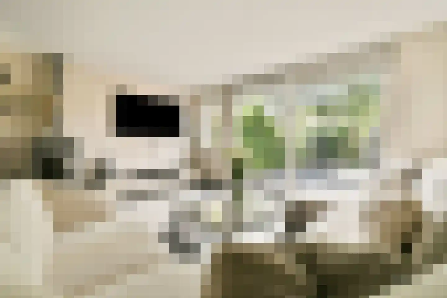 Jagerskreek 39 Spijkenisse thumbnail 12