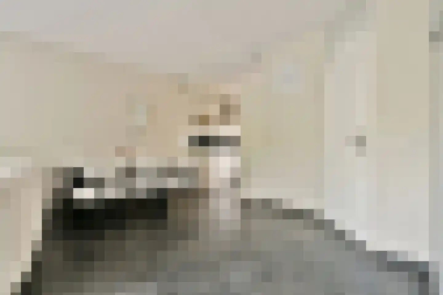 Jagerskreek 39 Spijkenisse thumbnail 13