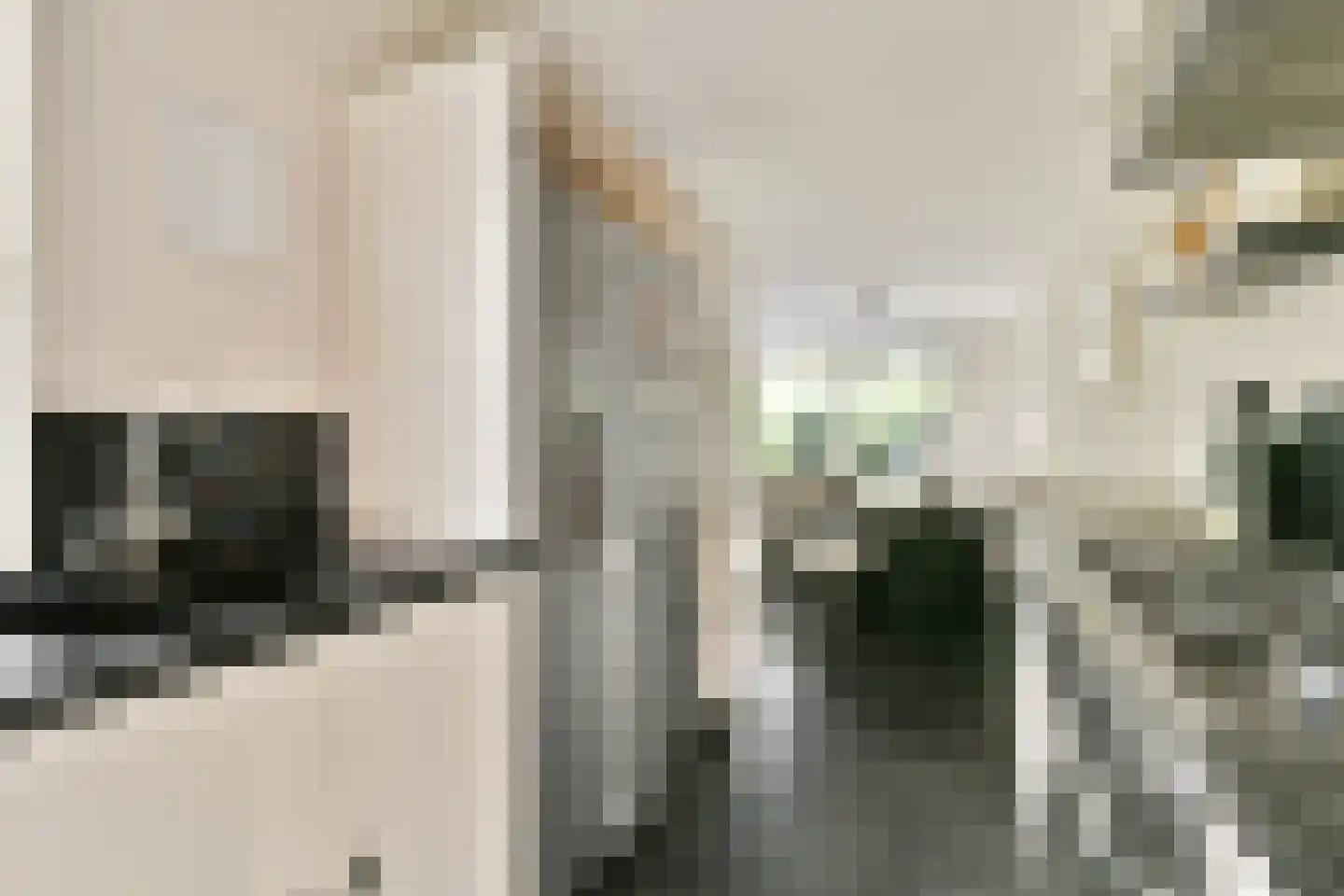 Jagerskreek 39 Spijkenisse thumbnail 15