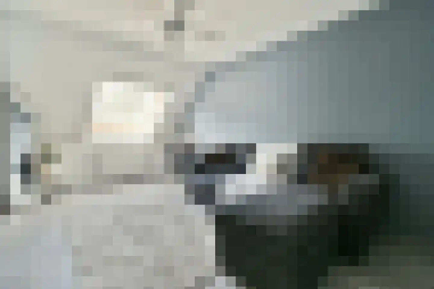 Jagerskreek 39 Spijkenisse thumbnail 18