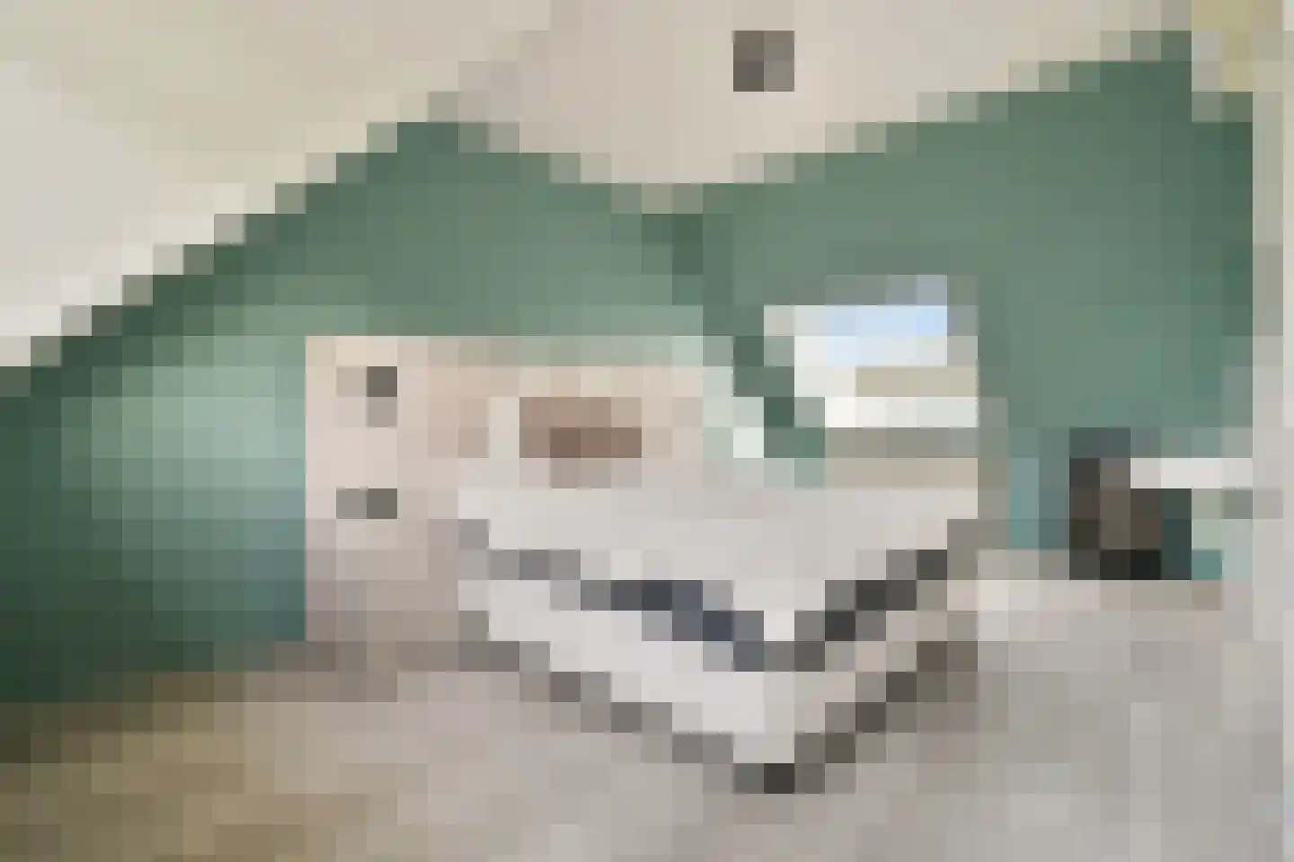 Jagerskreek 39 Spijkenisse thumbnail 28
