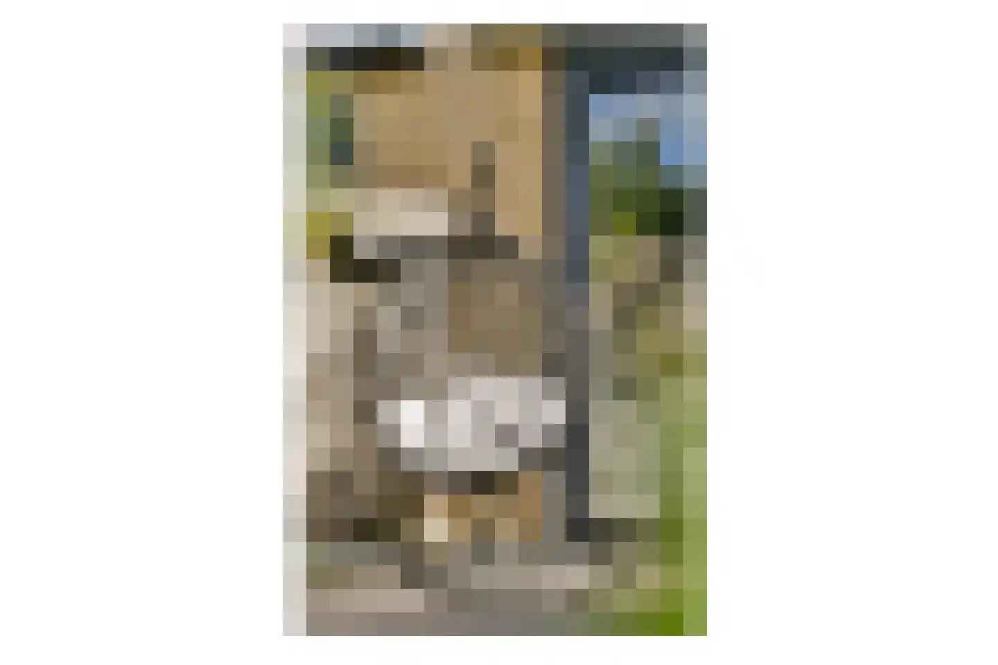 Jagerskreek 39 Spijkenisse thumbnail 30