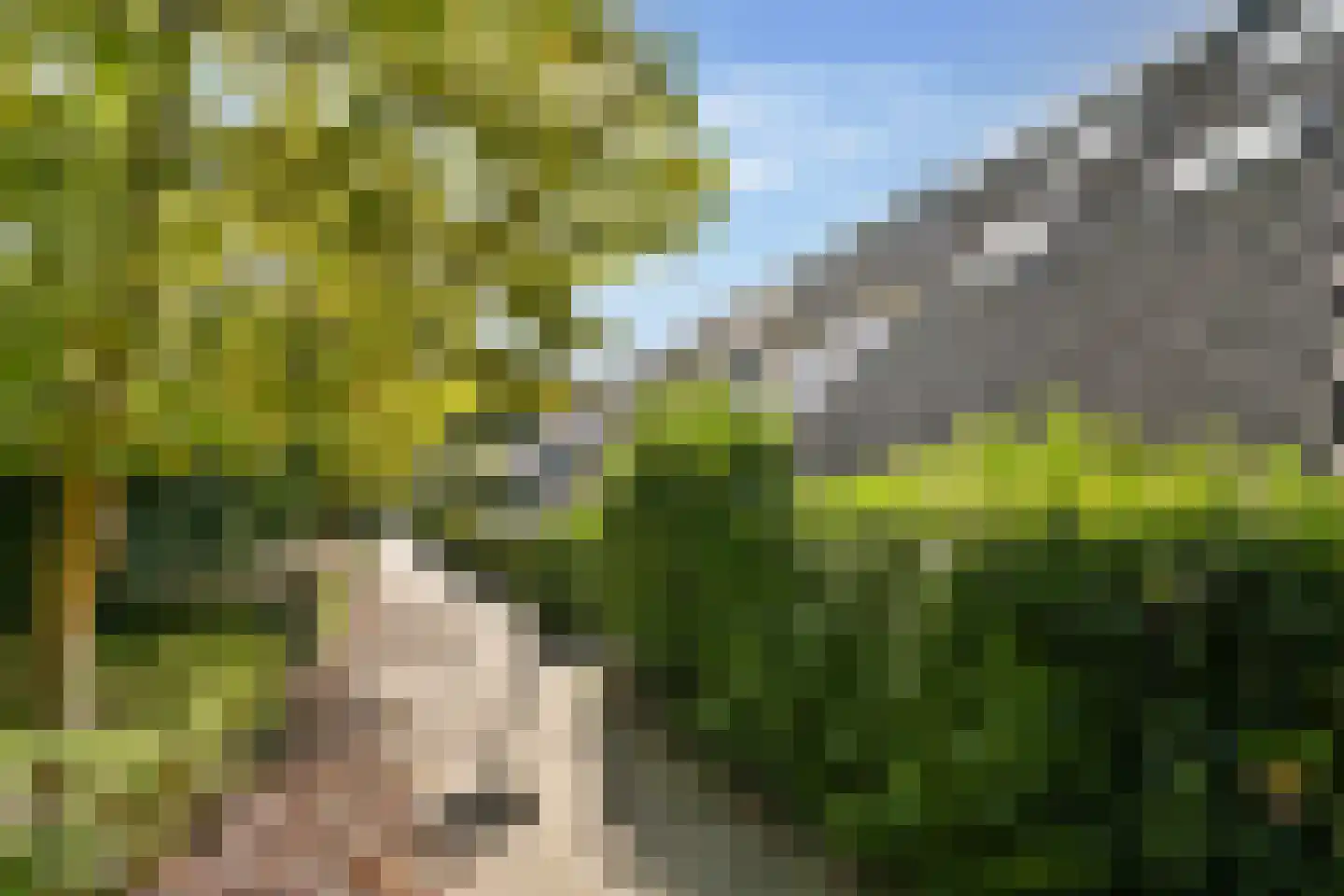 Jagerskreek 39 Spijkenisse thumbnail 33