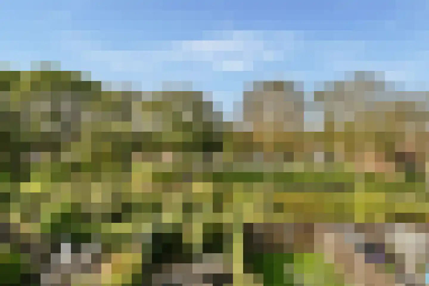 Jagerskreek 39 Spijkenisse thumbnail 34