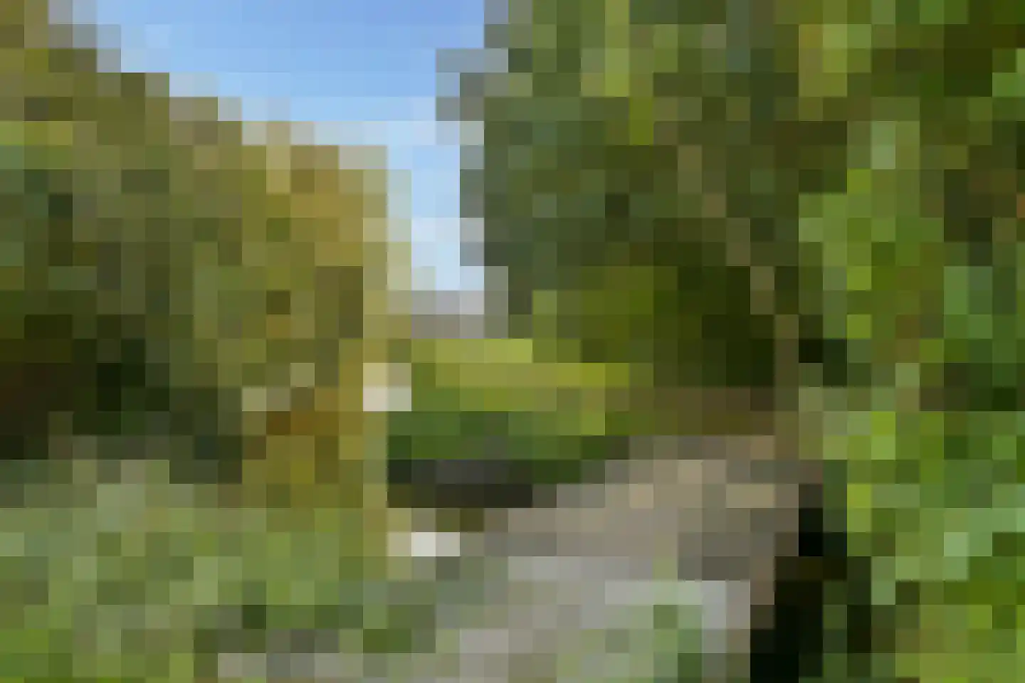 Jagerskreek 39 Spijkenisse thumbnail 36