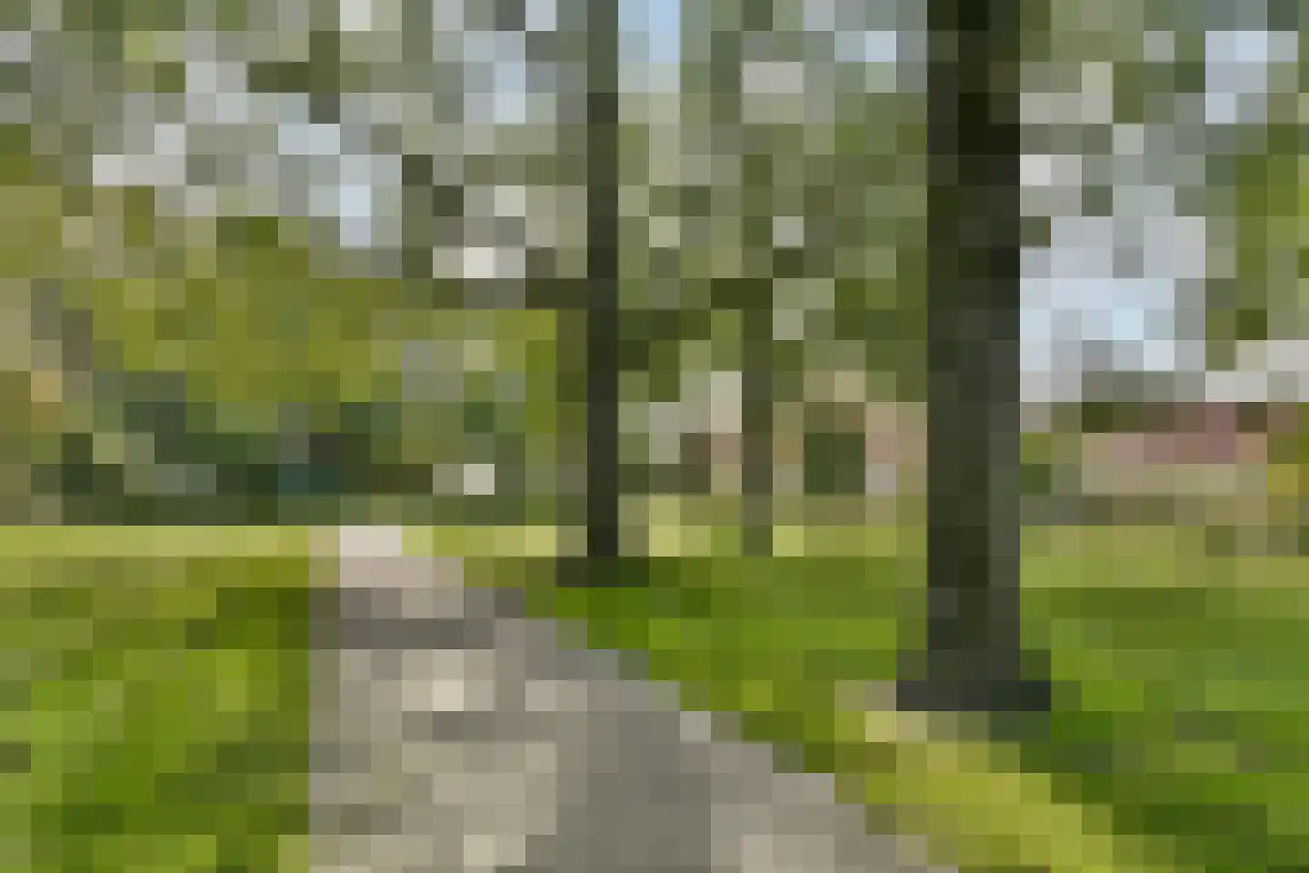 Jagerskreek 39 Spijkenisse thumbnail 37