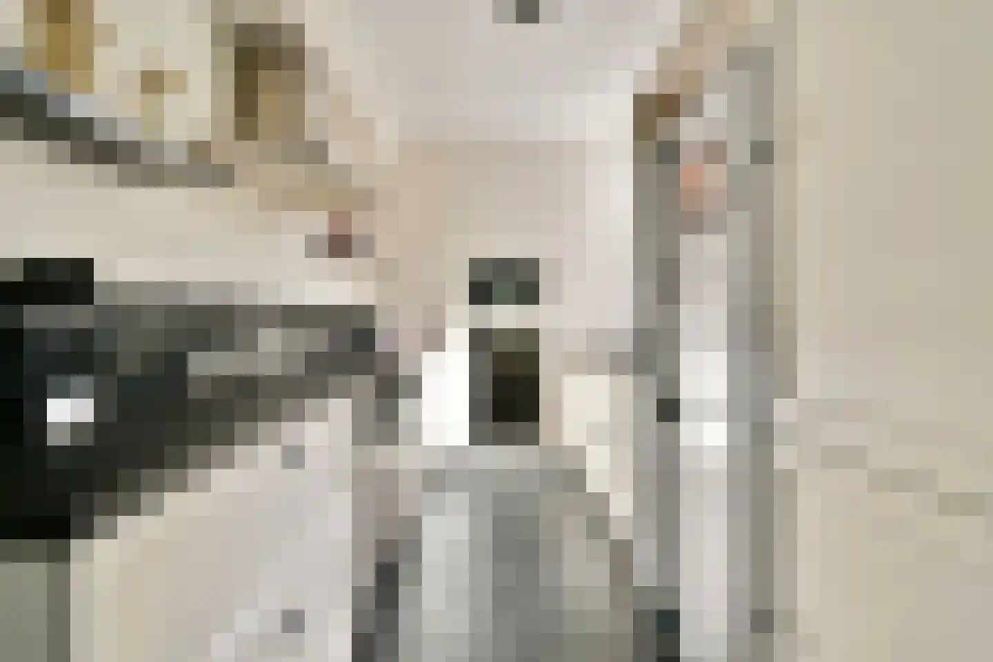 Jagerskreek 39 Spijkenisse thumbnail 4