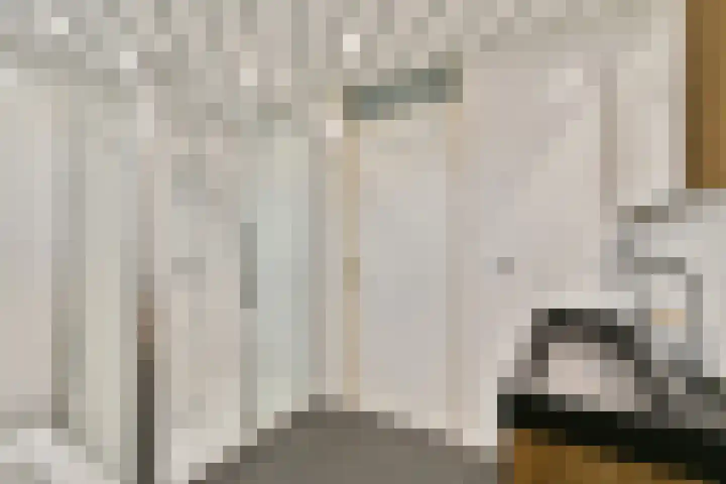 Jagerskreek 39 Spijkenisse thumbnail 5