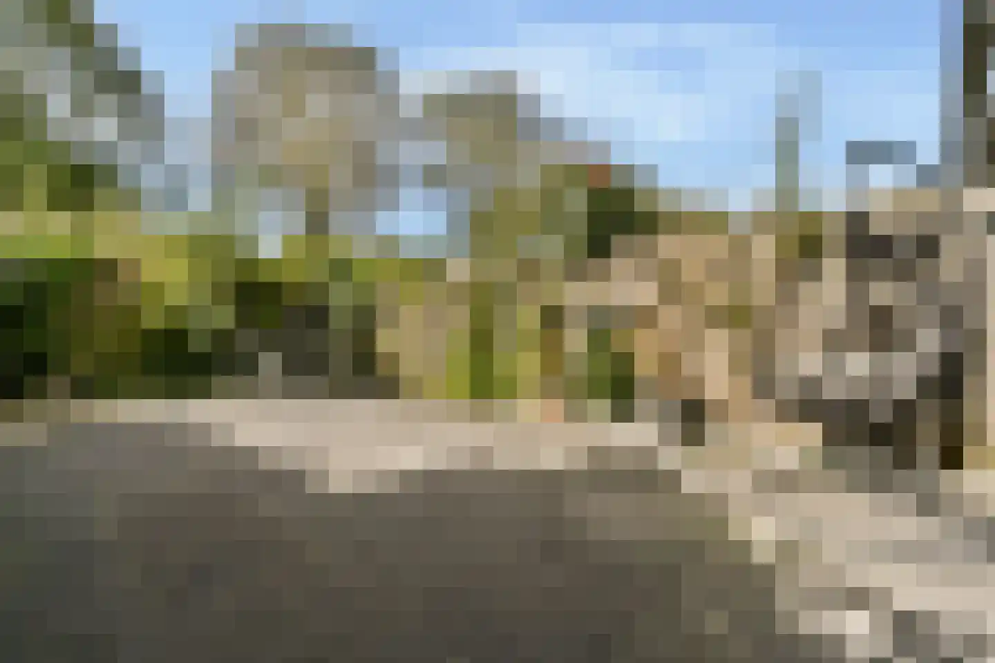 Jagerskreek 39 Spijkenisse thumbnail 6